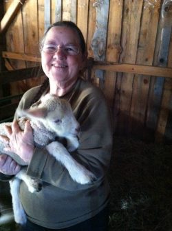 felting classes with Maine fiber artist Marty Elkin